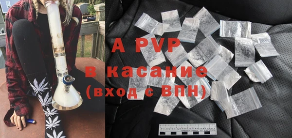 стафф Богданович