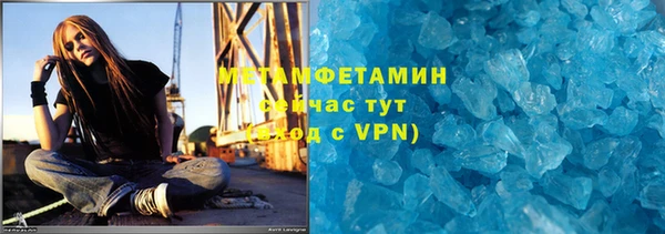 прущие грибы Богородск