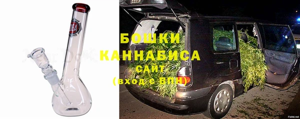 прущие грибы Богородск