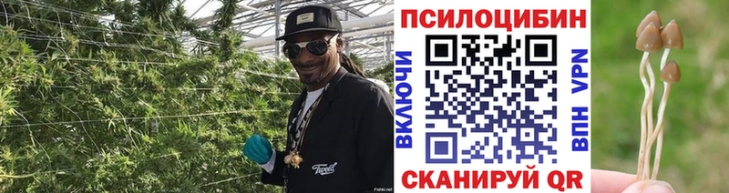 кракен ТОР  Бирск  Галлюциногенные грибы Cubensis 